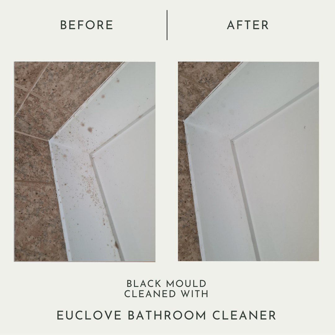 Euclove Bathroom & Mould Cleaner with Clove oil