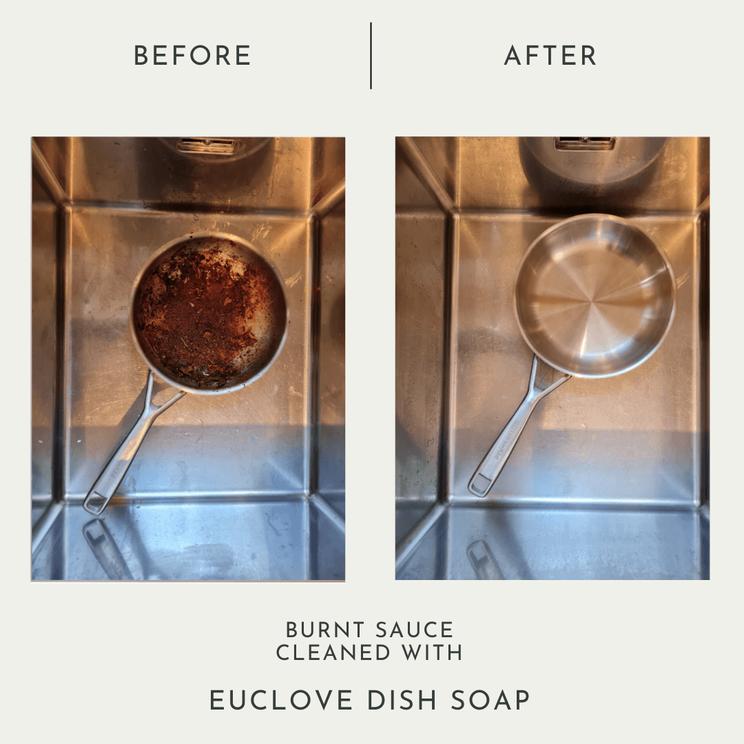 Euclove Foodsafe Dish Soap with Antibacterial Essential Oils (dishwash)