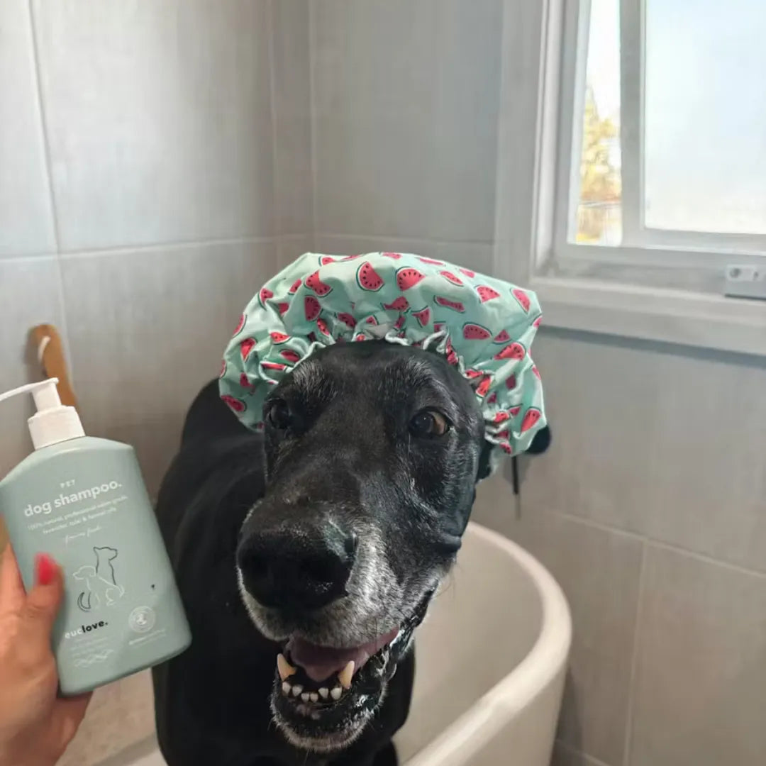 Euclove Natural Dog Shampoo - Salon grade