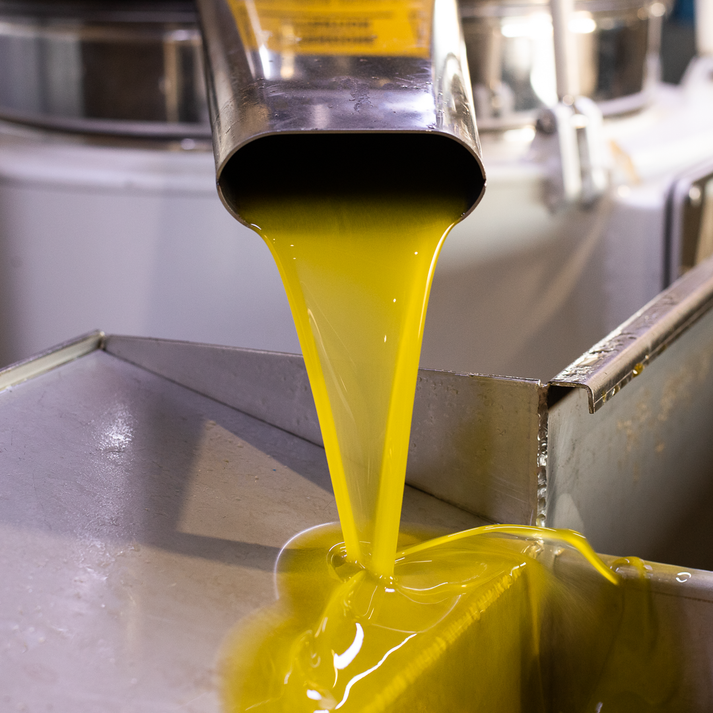 Mount Zero Early Harvest Picual EVOO 2026 Press - 500ml